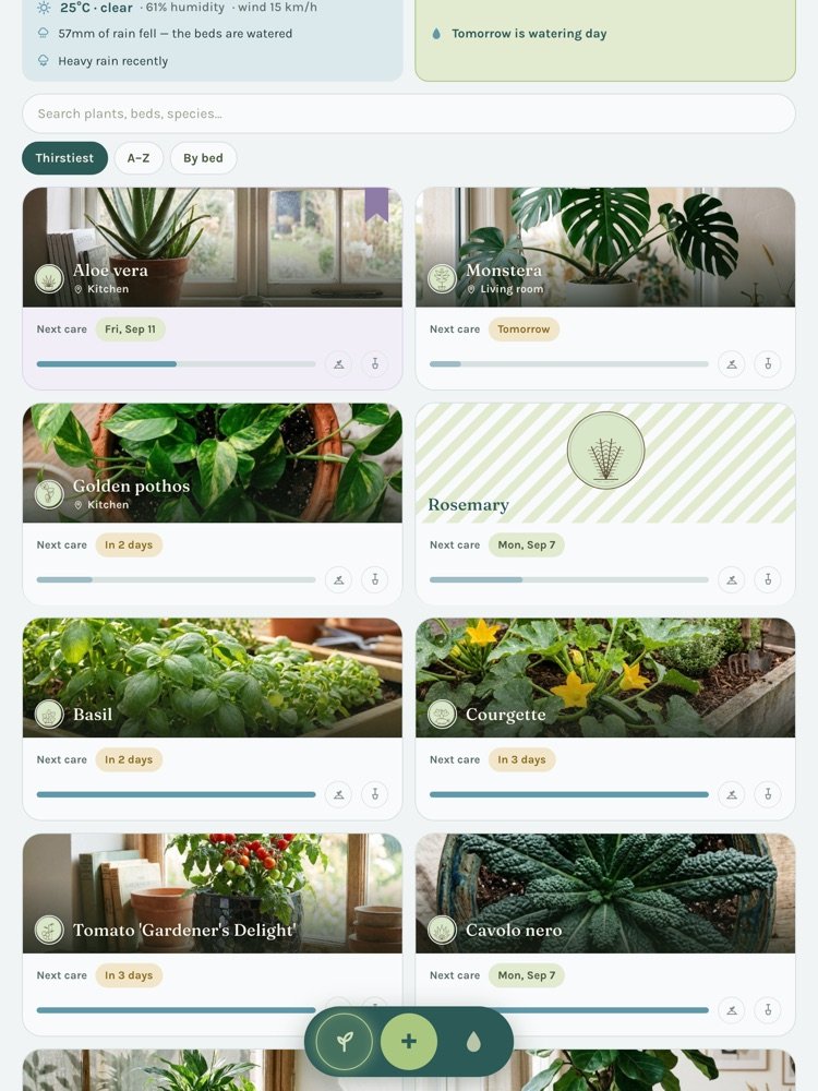 The shelf on a tablet